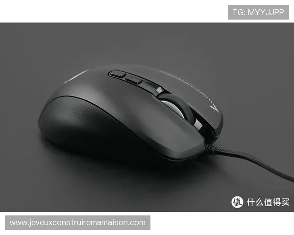 全面评测evo真人平台怎么样是否值得信赖和推荐